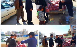  کشف و ضبط ۶ تن گوجه فرنگی قاچاق در مرز پرویزخان شهرستان قصرشیرین