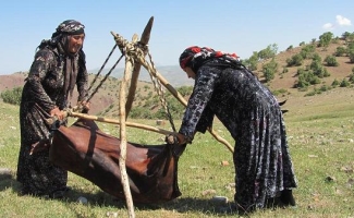 عشایر جامعه تولید کننده استان هستند / پرداخت تسهیلات اشتغالزایی به عشایر استان