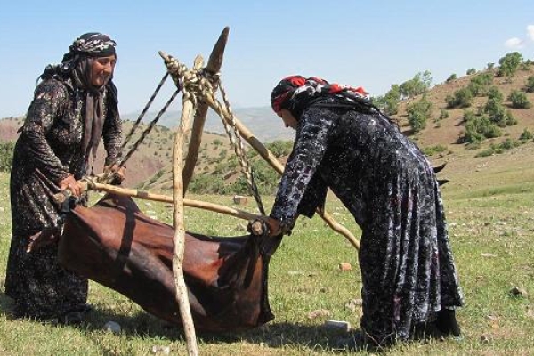 عشایر جامعه تولید کننده استان هستند / پرداخت تسهیلات اشتغالزایی به عشایر استان