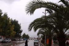 سرعت وزش باد در شهرستان سرپل ذهاب به 9 متر بر ثانیه رسید
