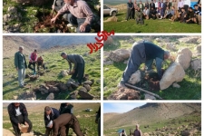 کاشت بیش از 300 نهال و بذر بلوط در حاشیه روستای قلعه بهادری در سرپل ذهاب