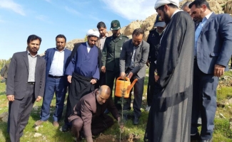  100 اصله نهال در پارک جنگلی شهرستان سرپل ذهاب غرس شد