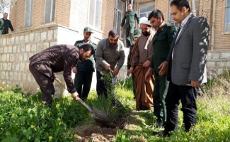 کاشت نهال به یاد شهدای شهرستان سرپل ذهاب