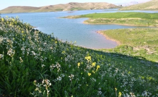 سرسبزی و طراوت بهاری در جاذبه های طبیعی شهرستان /وقتی خاطرات شیرین گردشگران نوروزی از حضور درشهر ثبت می شود