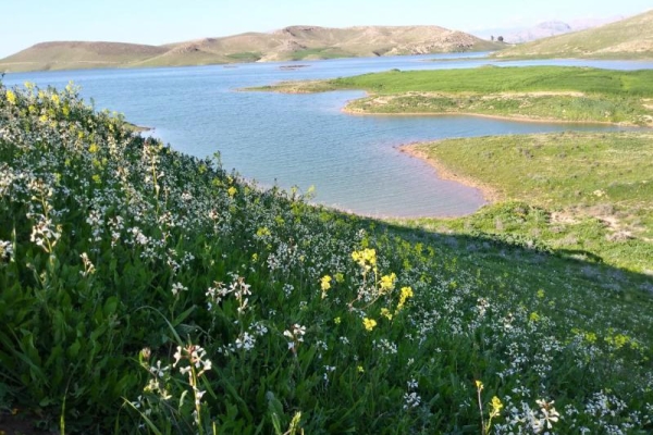 سرسبزی و طراوت بهاری در جاذبه های طبیعی شهرستان /وقتی خاطرات شیرین گردشگران نوروزی از حضور درشهر ثبت می شود