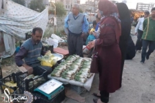 عطر و بوی گیاهان کوهی بر سرسفره های سرپل ذهابی ها/ بساط داغ فروش گیاهان خوراکی دربازارشهرستان پهن است
