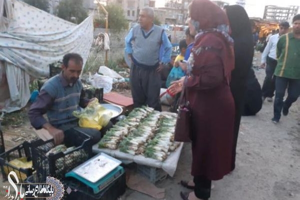 عطر و بوی گیاهان کوهی بر سرسفره های سرپل ذهابی ها/ بساط داغ فروش گیاهان خوراکی دربازارشهرستان پهن است