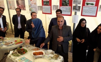 جشنواره غذاهای سنتی و محلی در سرپل ذهاب برگزار شد