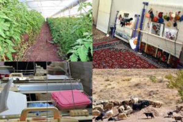 اسامی دریافت کنندگان تسهیلات اشتغال روستایی منتشر شد