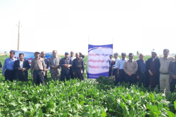 مراسم روز مزرعه چغندرقند پاییزه در شهرستان سرپل ذهاب برگزار شد