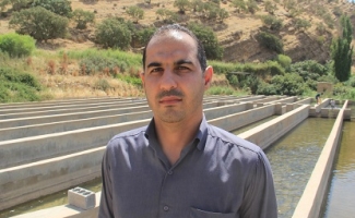 رهاسازی ۳۰۰هزار قطعه ماهی در مزارع پرورش ماهی شهرستان