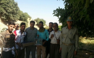 دستگیری شکارچیان غیر مجاز در شهرستان
