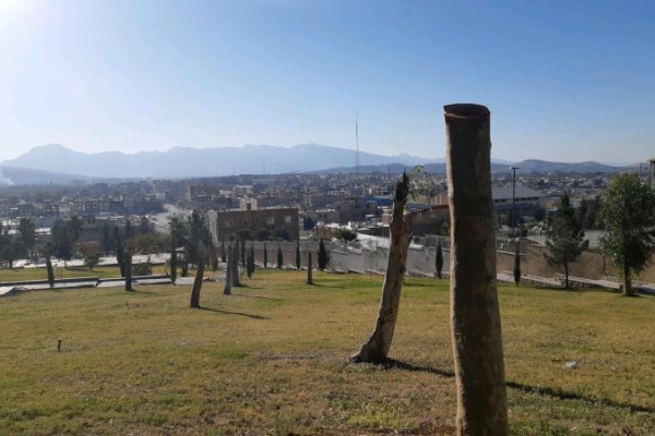 عملیات هرس درختان سطح شهرستان سرپلذهاب آغاز شد/ دوستداران طبیعت نگران نباشند