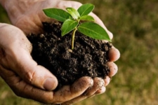 منابع طبیعی بزرگترین سرمایه ملی است/تدابیر پیشگیرانه برای آتش سوزی احتمالی در سرپلذهاب