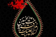 شهادت دختر خورشید و باب‌ الحوائج تسلیت باد