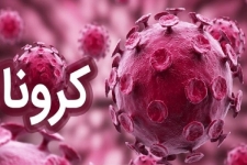 سایه سنگین ویروس منحوس کرونا بر حوزه فعالیت اصناف شهرستان سرپلذهاب/ تعطیلی بازار و اجرای محدودیت ها در شهرستان ادامه دارد