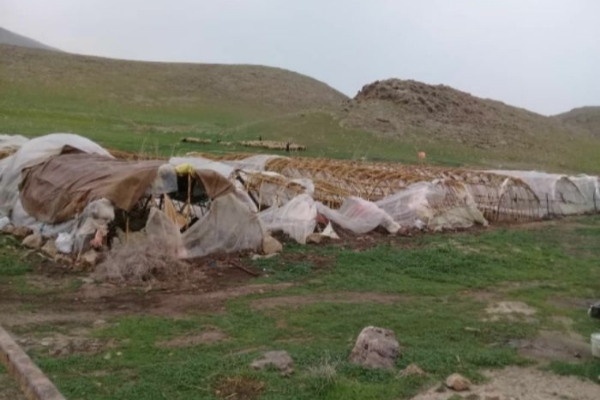 خسارات وزش باد به شهرستان سرپلذهاب