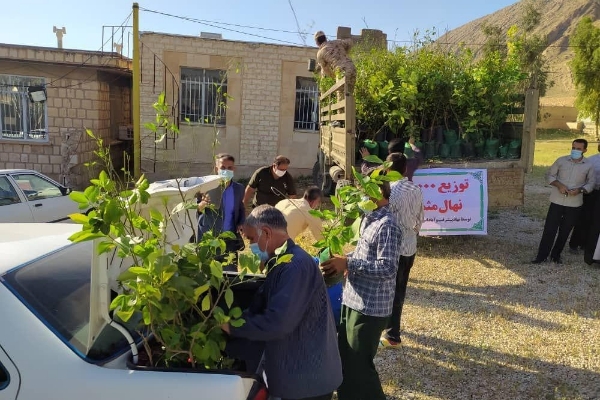 توزیع و غرس بیش از ۸هرار اصله نهال در شهرستان