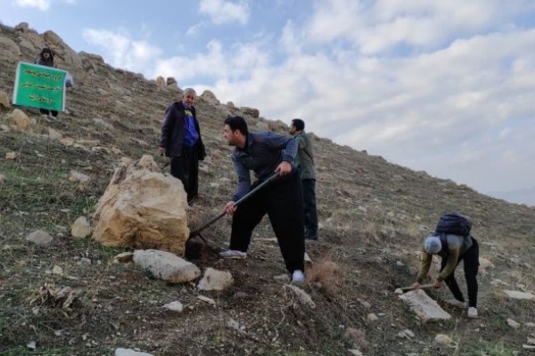کاشت ۸۰۰ نهال و دانه بلوط در ارتفاعات روستای آیینه در مساحت ۳ هکتار مترمربع
