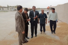 بازدید فرماندار شهرستان سرپل ذهاب از سیلوها و مراکز خرید گندم در شهرستان