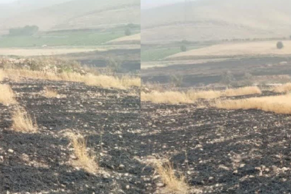 اطفاء حریق مزارع گندم شهرستان در دهستان بشیوه و پاطاق