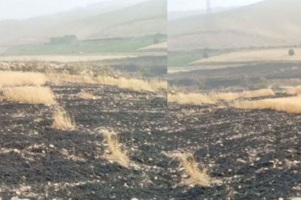 ۱۶ هکتار از مزارع غلات شهرستان دچار حریق شد