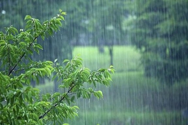 بارش باران در اغلب استان‌های کشور/ خیزش گرد و خاک در نوار شرقی