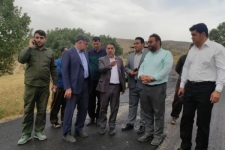 بازدید مسئولین استانی و نماینده مردم در مجلس شورای اسلامی از روند آسفالت راه های روستایی در حوزه انتخابیه سرپل ذهاب و گیلانغرب