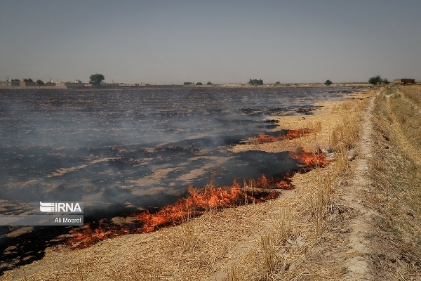 هشدار وقوع دمای بالای ۴۹ درجه و احتمال آتش‌سوزی‌ مراتع