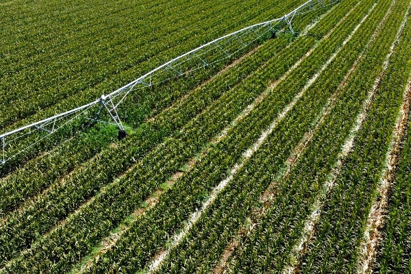 کاهش ۲۷ درصدی مصرف آب در حوضه آبریز دریاچه ارومیه با کمک کشاورزی پایدار