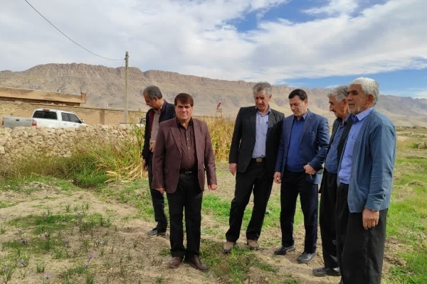 برگزاری کارگاه آموزش اجرای الگوی کشت صحیح محصولات در شهرستان