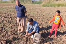 رهاسازی دراج پرنده حمایت شده و در معرض خطر انقراض به دامن طبیعت سرپل ذهاب