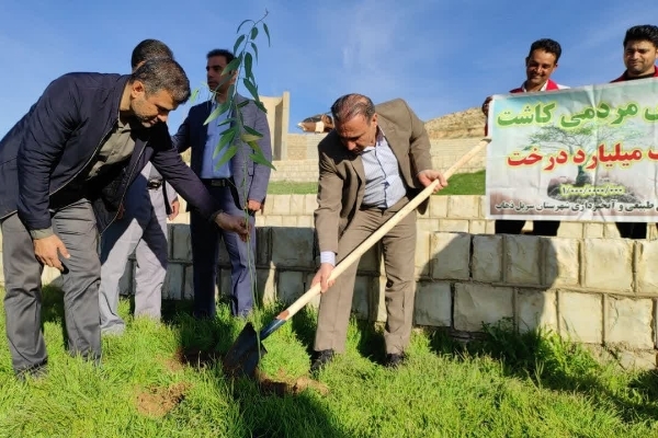 در شهرستان سرپل ذهاب اقدام به کاشت نهال شد.