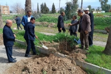 ۲هزارنهال در محل اردوگاه‌سرابگرم سرپل‌ذهاب کاشته می‌شود