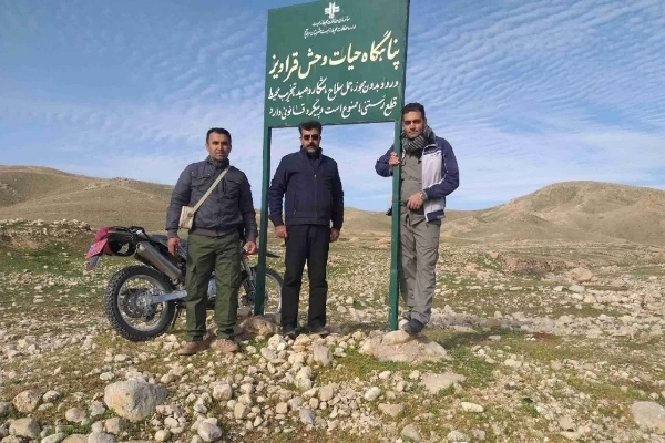 گشت و پایش موتوری محیطبانان سرپل ذهاب در پناهگاه حیات وحش قراویز در ایام نوروز