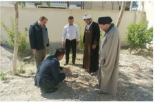 بیماری زنگ‌زرد مزارع شهرستان سرپل‌ذهاب را تهدید می‌کند/ لزوم اطلاع‌رسانی و پیش‌آگاهی به کشاورزان در جهت جلوگیری از این آفت