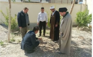 بیماری زنگ‌زرد مزارع شهرستان سرپل‌ذهاب را تهدید می‌کند/ لزوم اطلاع‌رسانی و پیش‌آگاهی به کشاورزان در جهت جلوگیری از این آفت