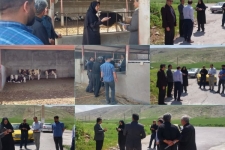 تخصیص اعتبار برای رفع مشکلات مجتمع پرواربندی گوساله روستای قیطگ در بخش قلعه‌شاهین