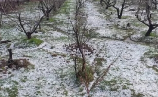کشاورزان سرپل‌ذهابی خواستار جبران خسارات هستند