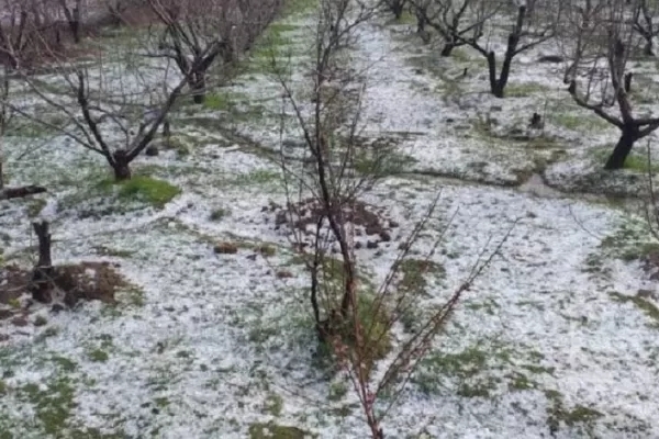 کشاورزان سرپل‌ذهابی خواستار جبران خسارات هستند