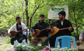 برداشت گوجه‌سبز از باغات سرپل‌ذهاب آغاز شد