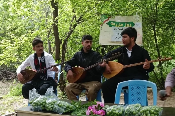 برداشت گوجه‌سبز از باغات سرپل‌ذهاب آغاز شد