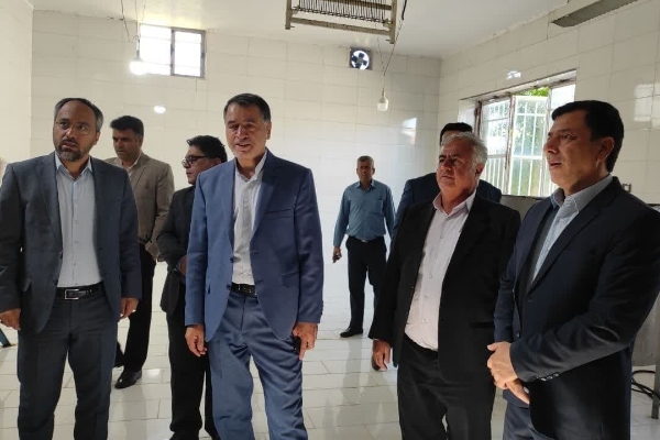 بازدید مسئولین از کارگاه تولیدی عسل‌طبیعی در شهرستان