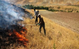 آتش به جان مراتع شهرستان افتاد / طعمه حریق شدن بیش از ۳هکتار از منابع طبیعی شهرستان