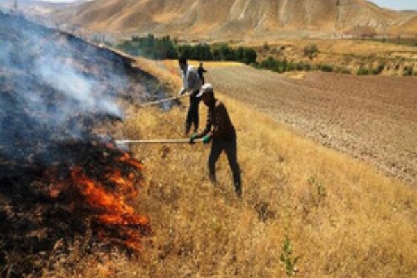 آتش به جان مراتع شهرستان افتاد / طعمه حریق شدن بیش از ۳هکتار از منابع طبیعی شهرستان