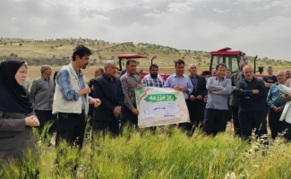 برگزاری مراسم گرامیداشت روزمزرعه در شهرستان
