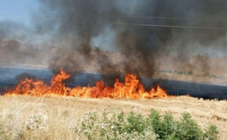 مراتع دهستان سرقله و جگیران طعمه حریق شد
