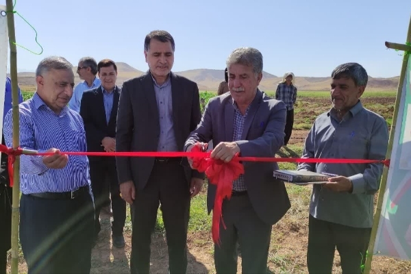 از دو طرح سیستم آبیاری تحت فشار اراضی کشاورزی در سرپل‌ذهاب بهره برداری شد