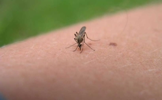 انجام اقدامات پیشگیرانه جهت کنترل و پیشگیری از بیماری سالک در شهرستان