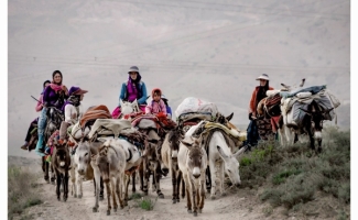 ورود عشایر کوچرو به منطقه قشلاقی از اوایل آبان ماه در شهرستان